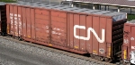 CN 558216